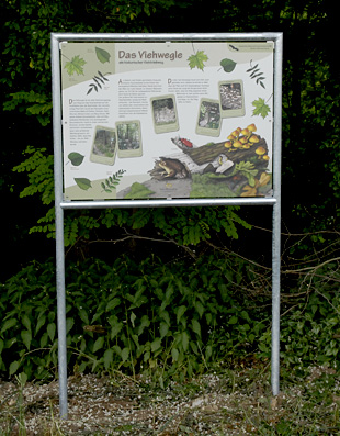 Schild
