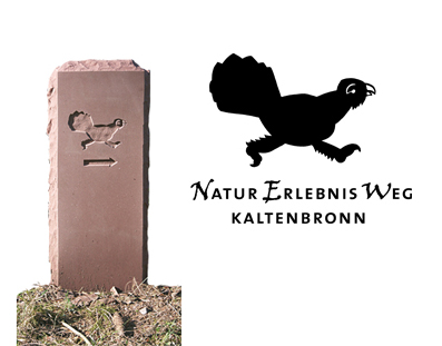 Kaltenbronn