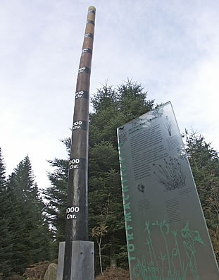 Kaltenbronn