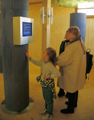 Multimedia