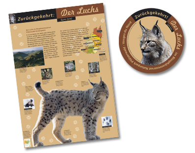 Luchs